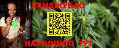 гидра Дубна