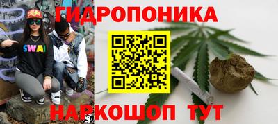 гидра Дубна