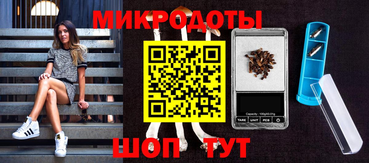 Галлюциногенные грибы прущие грибы  Вход с VPN  Галлюциногенные грибы Psilocybine cubensis  Луга 